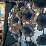 Logis Vignes Blanches*** Cosy Et Restaurant De Terroir 3*
