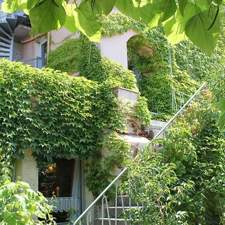 Logis Les Vignes Blanches מלון בוקר