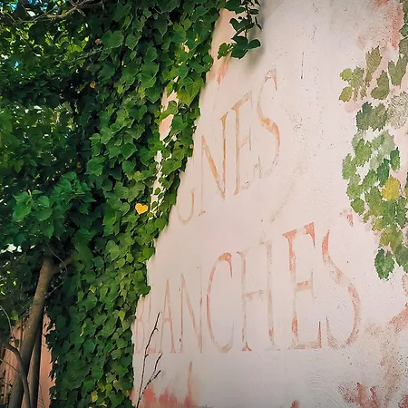 Logis Les Vignes Blanches מלון