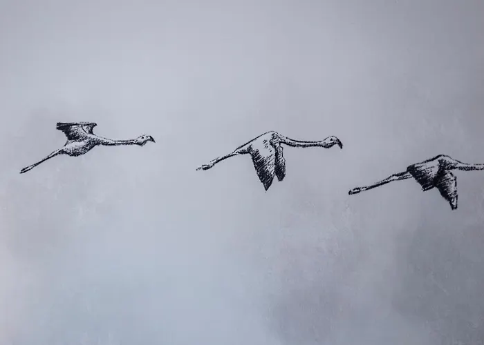 Logis Les Vignes Blanches Beaucaire (Gard)